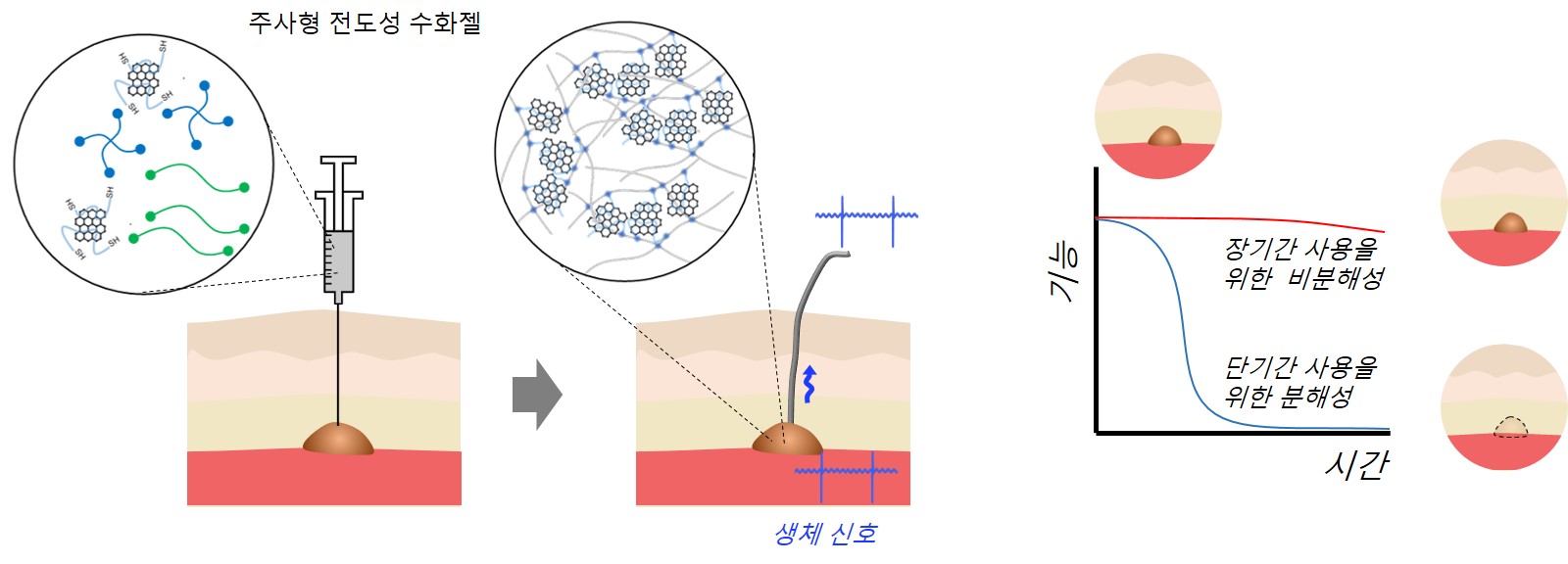 부작용 줄이고 활용도 높인 수화젤 기반 생체 이식형 전극 개발 (Small, 2023.02. on-line)
