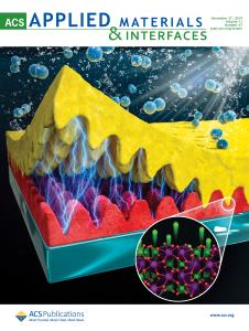 이승철 석사과정의 논문이 ACS Applied Materials & Interfaces에서 논문의 우수성을 인정받아 저널 Supplementary Journal Cover으로 선정되었습니다. 이미지