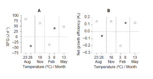 Seasonal energetic physiology in the ark shell Anadara kagoshimensis in response to rising temperature 이미지