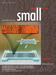 Secondary sensitivity control of silver nanowire-based resistive-type strain sensors by geometric modulation of the elastomer substrate 이미지