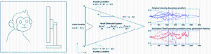 Perceptual Decision Making Model in Monkeys, 2011 이미지