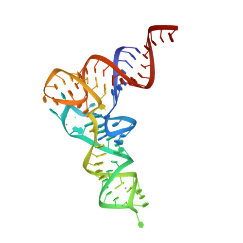 E. coli Valine tRNA 이미지