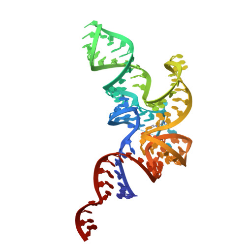 Leucine tRNAs from B. subtilis and E. coli 이미지