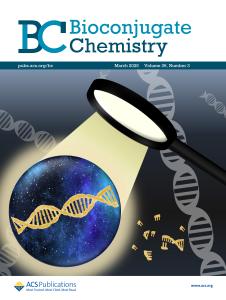 Bioconjugate Chem. 2025, 36&#40;3&#41; 이미지