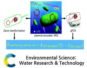 Elimination of transforming activity and gene degradation during UV and UV/H2O2 treatment of plasmid-encoded antibiotic resistance genes