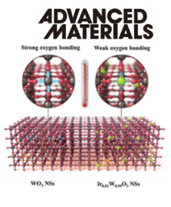 Dopant-Driven Positive Reinforcement in Ex-Solution Process: New Strategy to Develop Highly Capable and Durable Catalytic Materials