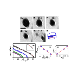 Kinetics of Congruent Vaporization of ZnO Islands