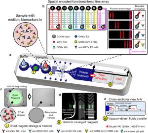 A single snapshot multiplex immunoassay platform utilizing dense test lines based on engineered beads