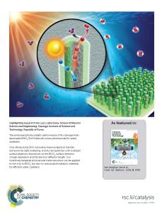 Plasmonic Gold Nanoparticles-Decorated BiVO4/ZnO Nanowire Heterostructure Photoanodes for Efficient Water Oxidation (press release)