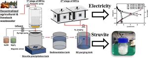 Microbial Fuel Cell Driven Mineral Rich Wastewater Treatment Process for Circular Economy by Creating Virtuous Cycles