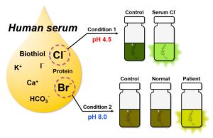 pH-guided fluorescent sensing probe for the discriminative detection of Cl- and Br- in human serum