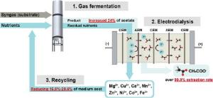 173. Recycling of minerals with acetate separation in biological syngas fermentation with an electrodialysis system