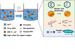 Ru (III)/Periodate System: Rapid Microbial Inactivation and Micropollutant Abatement in Seconds