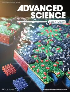 15. Organometal Halide Perovskite-Based Photoelectrochemical Module Systems for Scalable Unassisted Solar Water Splitting (press release)