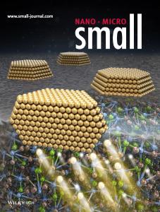 Maximizing Photoelectrochemical Performance in Metal-Oxide Hybrid Composites via Amorphous Exsolution—A New Exsolution Mechanism for Heterogeneous Catalysis