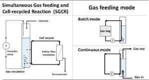 151. A simultaneous gas feeding and cell-recycled reaction (SGCR) system to achieve biomass boosting and high acetate titer in microbial carbon monoxide fermentation