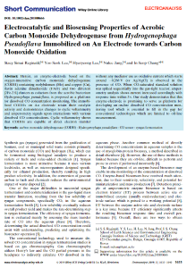 147. Electrocatalytic and Biosensing Properties of Aerobic Carbon Monoxide Dehydrogenase from Hydrogenophaga Pseudoflava Immobilized on Au Electrode towards Carbon Monoxide Oxidation