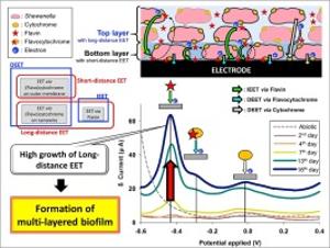 138. Tracking of Shewanella oneidensis MR-1 biofilm formation of a microbial electrochemical system via differential pulse voltammetry