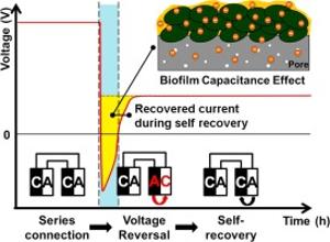 133. Self-recoverable voltage reversal in stacked microbial fuel cells due to biofilm capacitance