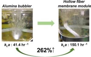 125. Enhanced mass transfer rate of methane via hollow fiber membrane modules for Methylosinus trichosporium OB3b fermentation