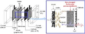 101. Characterization of uncharged and sulfonated porous poly(vinylidene fluoride) membranes and their performance in microbial fuel cells