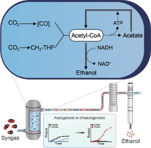 187. Acetogenesis to ethanologenesis: facilitating NADH oxidation via reductive acetate uptake