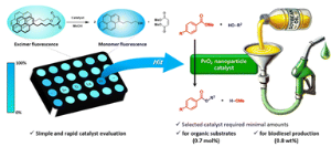 Discovery of lanthanide metal oxide catalyst for transesterification reaction by fluorescence-based high-throughput screening method and application to biodiesel production