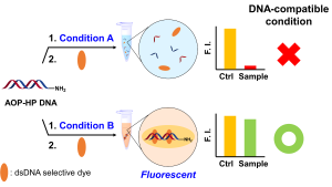 Fluorescence-Based Simple and Practical Assay Method for DNA Damage Analysis in DNA-Encoded Library Synthesis